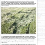 UFO-k jártak Somogyban?