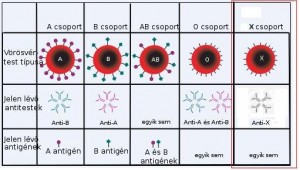 vércsoport