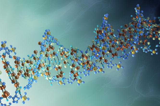 DNA molecule, artwork