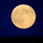 NÖVÉNYTERMESZTÉSRE KÉSZÜL A HOLDON A NASA
