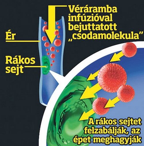 Megtörtént a csoda! – Feltaláltuk a rák ellenszerét!