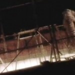 Ezért ne szórakozz egy tigrissel! [VIDEÓVAL!]