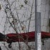 DÖBBENET: GYEREKEIT GYILKOLTA LE A FOGORVOS