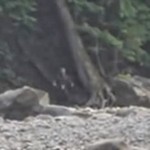 Földönkívüli humanoidot fényképeztek egy parkban! Videó