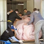 Embert szült egy afrikai elefánt - megdöbbentő fotósorozat Ron Mueck szobrászművésztől