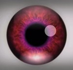 Ez a videó drogok nélkül is hallucinációt okoz, ha végignézed