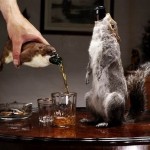A tíz legfurcsább alkoholos ital