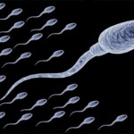 18+ 9 meglepő tény, amit eddig nem tudtál a spermáról